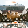 Wilco: Wilco (the album)