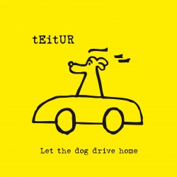 Teitur: Let the Dog Drive Home