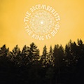 The Decemberists: The King is Dead