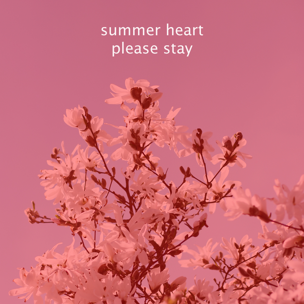 Summer Heart: Please Stay