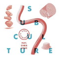 Stop Modernists feat. Chris Lowe: Subculture (Main Vocal Extended)
