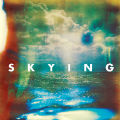 The Horrors: Skying