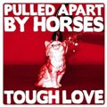 Pulled Apart by Horses: Tough Love