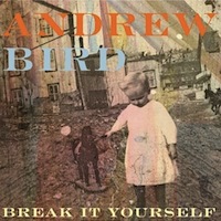 Andrew Bird: Break It Yourself