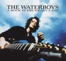 The Waterboys: A rock in the weary land