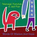 Teenage Fanclub & Jad Fair: Words of wisdom and hope