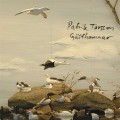 Patrik Torsson: Gästhamnar