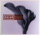 Nine Inch Nails: The Day the World Went Away