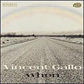 Vincent Gallo: When