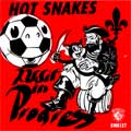 Hot Snakes: Audit in Progress
