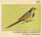 A Hawk and a Hacksaw: The Way the Wind Blows