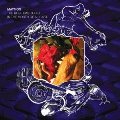 Matmos: The Rose Has Teeth in the Mouth of a Beast