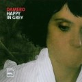 Damero: Happy in grey